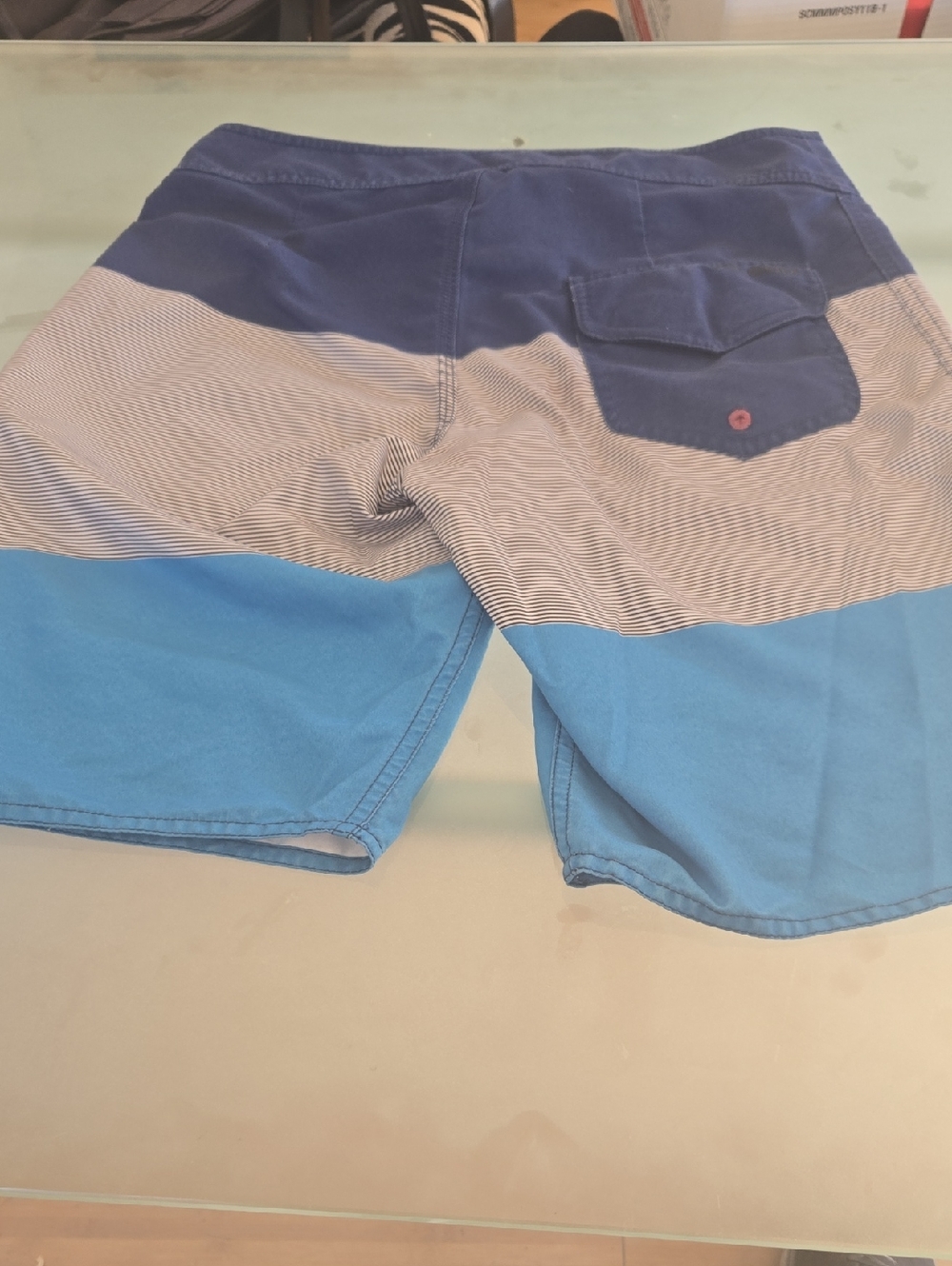 Men's Colorblock Blue Stripe Swim Shorts
